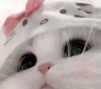 moonpr1ncess