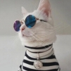 Pawka