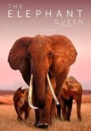 Рекомендуем посмотреть Королева слонов