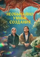 Рекомендуем посмотреть Необычайно умные создания