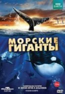 Рекомендуем посмотреть BBC: Морские гиганты