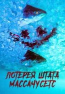 Рекомендуем посмотреть Лотерея штата Массачусетс