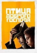 Рекомендуем посмотреть Птица доброго господа