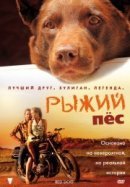 Рекомендуем посмотреть Рыжий пес