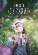 Рекомендуем посмотреть Лунолет Сурикат