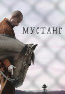 Рекомендуем посмотреть Мустанг