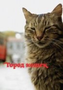Рекомендуем посмотреть Город кошек