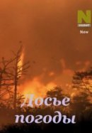 Рекомендуем посмотреть Досье погоды