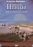 Рекомендуем посмотреть Птицы