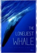 Рекомендуем посмотреть Самый одинокий кит