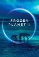 Рекомендуем посмотреть BBC: Замерзшая планета 2