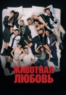 Рекомендуем посмотреть Животная любовь