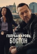 Рекомендуем посмотреть Голубая кровь: Бостон