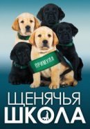 Рекомендуем посмотреть Выбор щенка