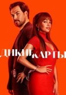 Рекомендуем посмотреть Дикие карты