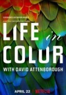 Рекомендуем посмотреть Жизнь в цвете с Дэвидом Аттенборо