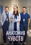 Анатомия чувств