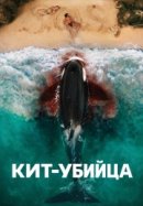Рекомендуем посмотреть Кит-убийца