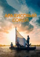 Рекомендуем посмотреть Арахисовый сокол