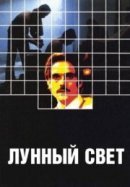 Рекомендуем посмотреть Лунный свет
