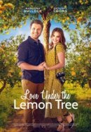 Рекомендуем посмотреть Любовь под лимонным деревом