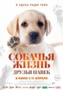 Рекомендуем посмотреть Собачья жизнь: Друзья навек