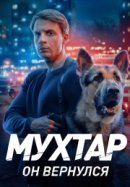 Рекомендуем посмотреть Мухтар. Он вернулся