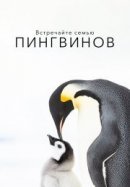 Рекомендуем посмотреть Встречайте семью пингвинов