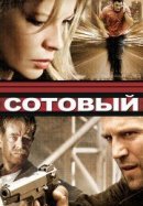 Рекомендуем посмотреть Сотовый