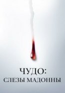 Рекомендуем посмотреть Чудо: Слезы Мадонны