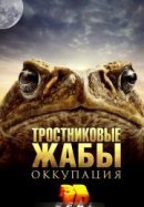 Рекомендуем посмотреть Тростниковые жабы: Оккупация