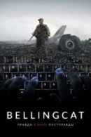 Рекомендуем посмотреть Bellingcat: Правда в мире постправды