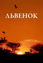 Львенок