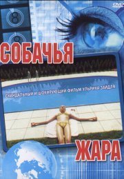 Собачья жара