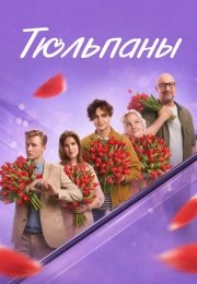 Тюльпаны