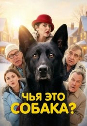 Чья это собака?