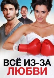 Всё из-за любви