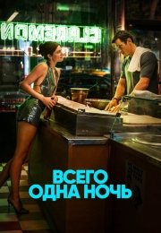Всего одна ночь