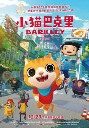 Котенок Баркли