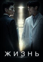 Жизнь