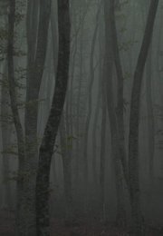 Убежище 2: ледяная тропа